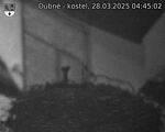 Capi_Dubne_20250328_044502.jpg