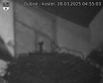Capi_Dubne_20250328_045503.jpg