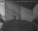 Capi_Dubne_20250328_051003.jpg