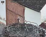 Capi_Dubne_20250328_054003.jpg