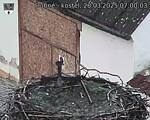 Capi_Dubne_20250328_070003.jpg