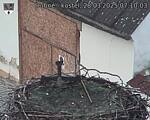 Capi_Dubne_20250328_071003.jpg