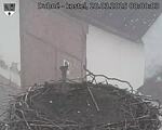 Capi_Dubne_20250328_080003.jpg