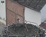 Capi_Dubne_20250328_090003.jpg