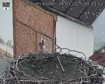 Capi_Dubne_20250328_092002.jpg