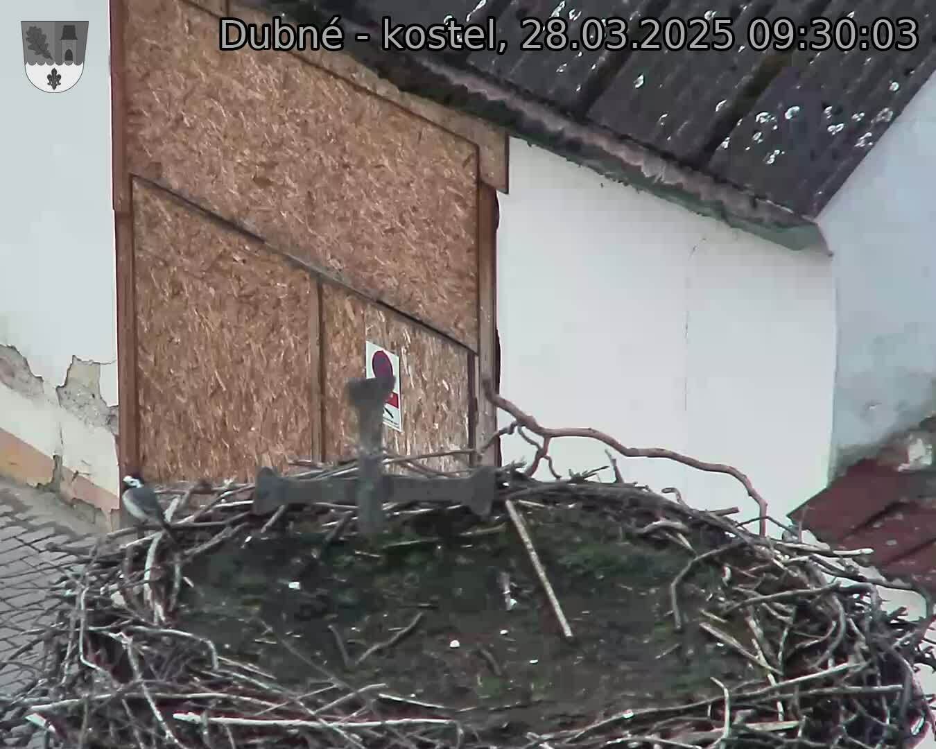 Capi_Dubne_20250328_093003.jpg (1350 x 1080)