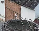Capi_Dubne_20250328_093503.jpg