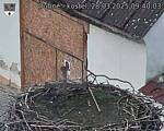 Capi_Dubne_20250328_094003.jpg