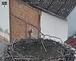 Capi_Dubne_20250328_095003.jpg