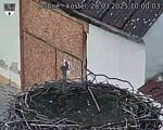 Capi_Dubne_20250328_100003.jpg