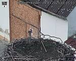 Capi_Dubne_20250328_100503.jpg