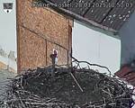 Capi_Dubne_20250328_105003.jpg