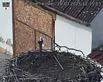 Capi_Dubne_20250328_123503.jpg