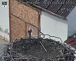 Capi_Dubne_20250328_125503.jpg