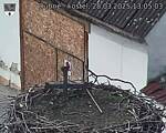 Capi_Dubne_20250328_130503.jpg