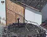 Capi_Dubne_20250328_132003.jpg