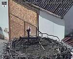 Capi_Dubne_20250328_140502.jpg