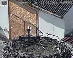 Capi_Dubne_20250328_144003.jpg
