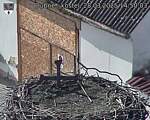 Capi_Dubne_20250328_145003.jpg