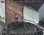 Capi_Dubne_20250328_151502.jpg