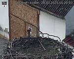Capi_Dubne_20250328_152003.jpg