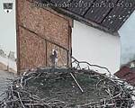 Capi_Dubne_20250328_154503.jpg