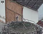 Capi_Dubne_20250328_155003.jpg