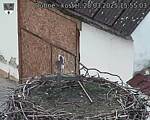 Capi_Dubne_20250328_155503.jpg
