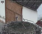 Capi_Dubne_20250328_160003.jpg