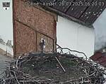 Capi_Dubne_20250328_162003.jpg