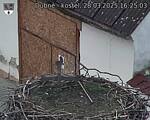 Capi_Dubne_20250328_162503.jpg