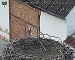 Capi_Dubne_20250328_164503.jpg