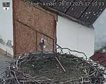 Capi_Dubne_20250328_171003.jpg