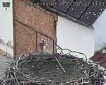 Capi_Dubne_20250328_173003.jpg