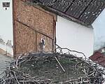 Capi_Dubne_20250328_175003.jpg
