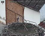 Capi_Dubne_20250328_180503.jpg