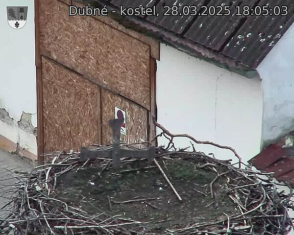 Capi_Dubne_20250328_180503.jpg (1350 x 1080)