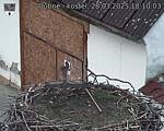 Capi_Dubne_20250328_181003.jpg