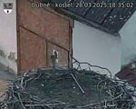 Capi_Dubne_20250328_183502.jpg