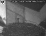 Capi_Dubne_20250328_185502.jpg