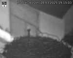 Capi_Dubne_20250328_191503.jpg