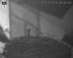 Capi_Dubne_20250328_192002.jpg