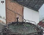Capi_Dubne_20250329_093504.jpg