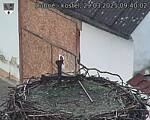 Capi_Dubne_20250329_094002.jpg