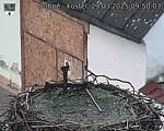 Capi_Dubne_20250329_095003.jpg