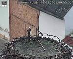 Capi_Dubne_20250329_095502.jpg