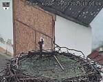 Capi_Dubne_20250329_100004.jpg