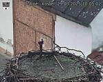 Capi_Dubne_20250329_100502.jpg