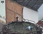 Capi_Dubne_20250329_101503.jpg