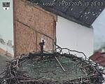 Capi_Dubne_20250329_102003.jpg